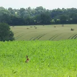 A La Haute Bouillere Chavagnes-les-Redoux