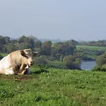 Frühstückspension A La Haute Bouillere Chavagnes-les-Redoux