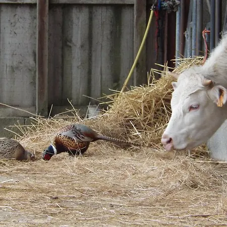 A La Haute Bouillere Chavagnes-les-Redoux
