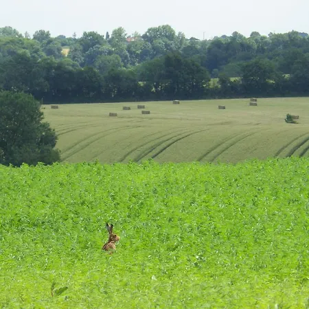 A La Haute Bouillere Chavagnes-les-Redoux