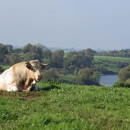 Bed & Breakfast A La Haute Bouillere Chavagnes-les-Redoux