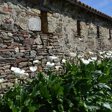A La Haute Bouillere Chavagnes-les-Redoux