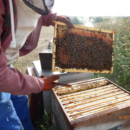 Bed & Breakfast A La Haute Bouillere Chavagnes-les-Redoux