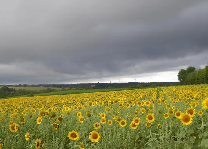 A La Haute Bouillere Bed and Breakfast