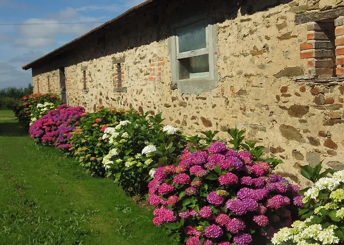 فندق مبيت وإفطار A La Haute Bouillere Chavagnes-les-Redoux