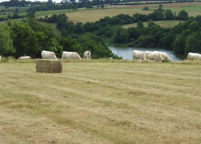 Bed and Breakfast A La Haute Bouillere