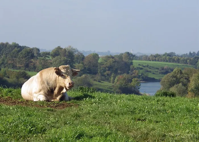 فندق مبيت وإفطار A La Haute Bouillere Chavagnes-les-Redoux