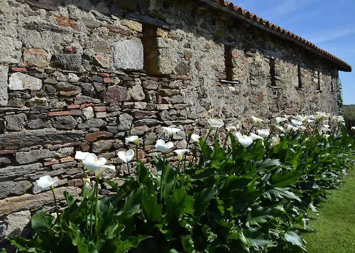 A La Haute Bouillere Chavagnes-les-Redoux
