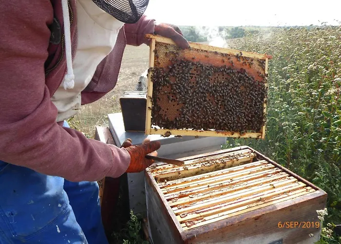 فندق مبيت وإفطار A La Haute Bouillere Chavagnes-les-Redoux